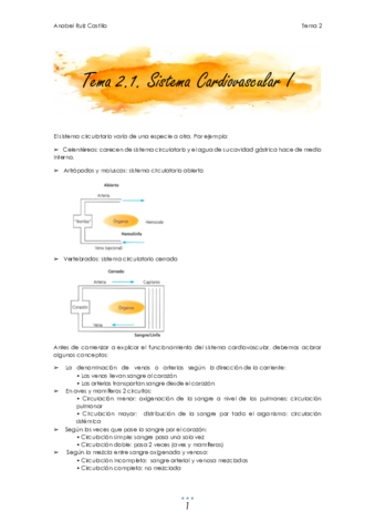 T2 Circulatorio.pdf