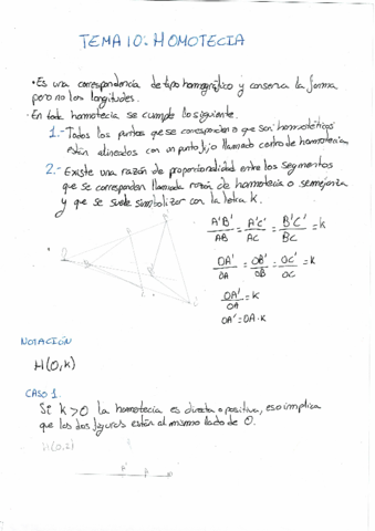 1oBACH-DIBUJO-T10Homotecia.pdf