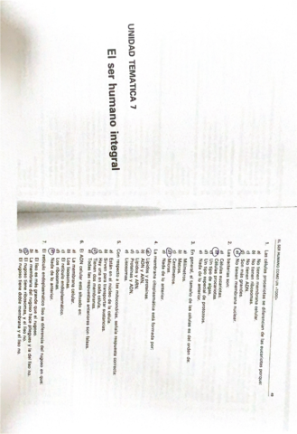 Test-repaso.pdf