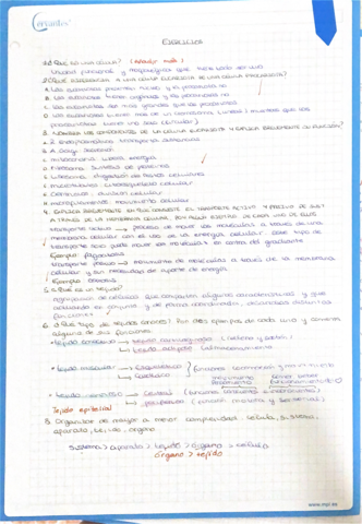 Ejercicios-.pdf