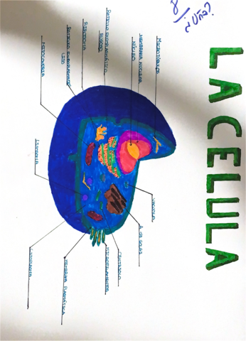 Lamina.pdf