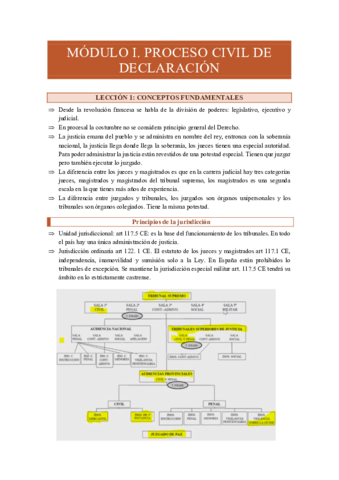 Leccion-1-procesal.pdf