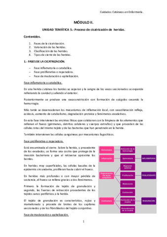 cutaneos-TEMA-5.pdf