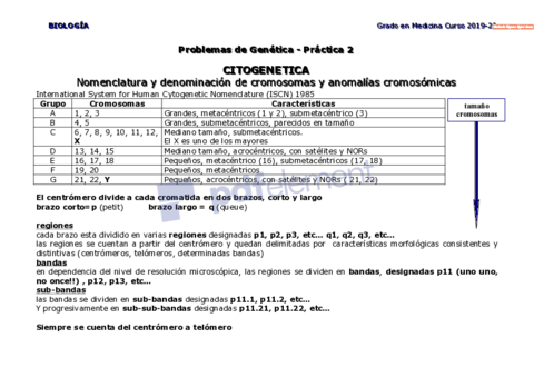 Problemas-2-Citogenetica-RESUELTOS.pdf