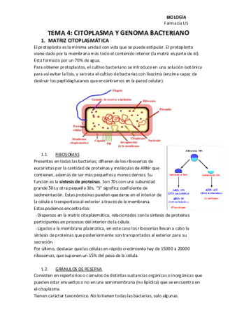 TEMA-4-BIOLOGIA.pdf