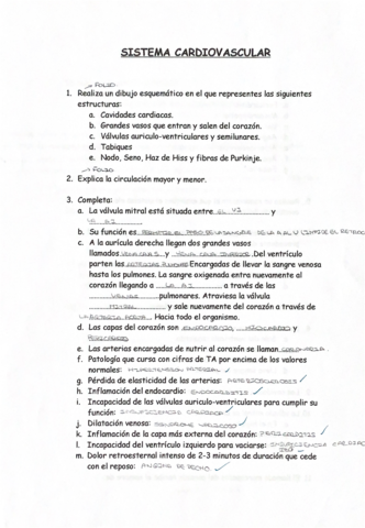 Ejercicios-.pdf