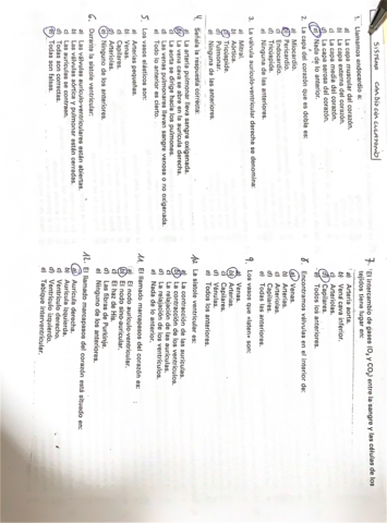 Test-.pdf