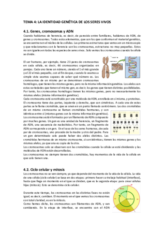 Tema-4-definitivo.pdf