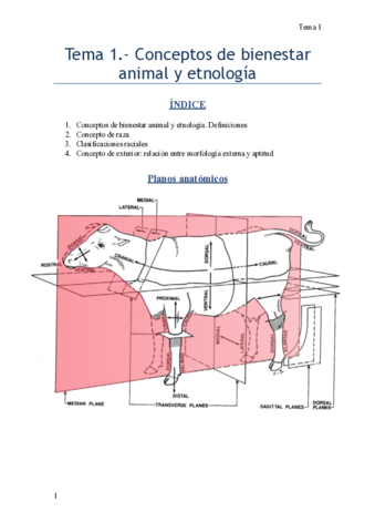 Bienestar-animal.pdf