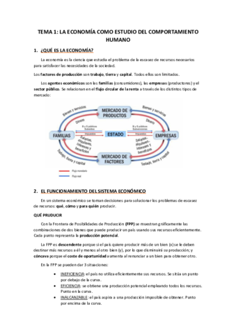 Tema-1.pdf