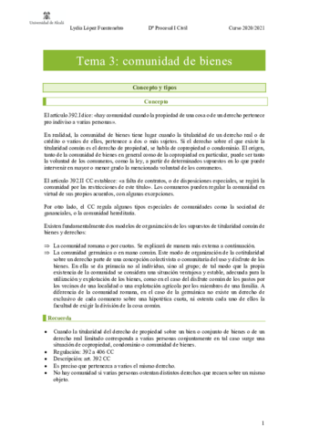 tema-3-civil-II.pdf