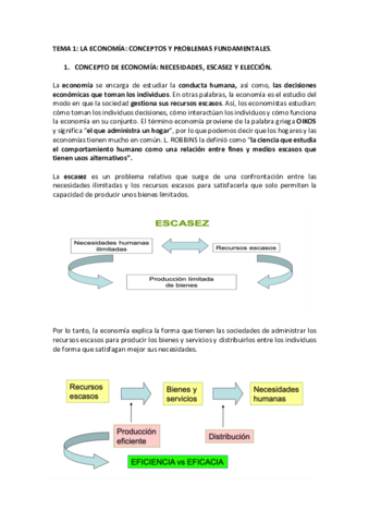 TEMA-1.pdf