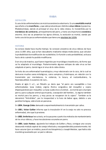 Rabia.pdf
