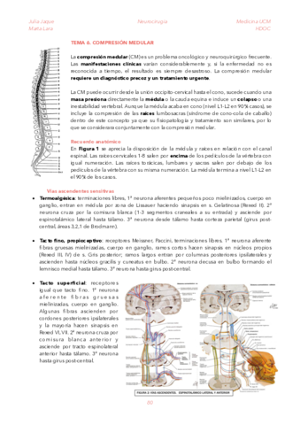 T6-COMP-MEDULAR.pdf