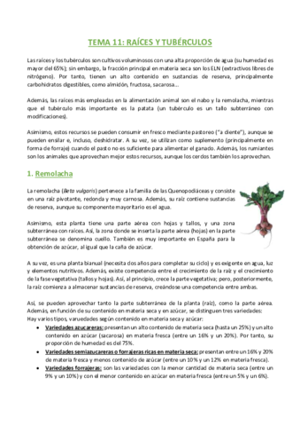 TEMA-11-Agronomia.pdf