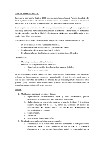 TEMA-14.pdf
