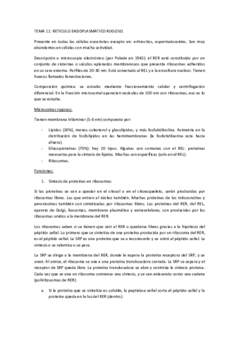 TEMA-11.pdf