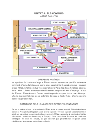 UNITAT-5--ELS-HOMINIDS.pdf