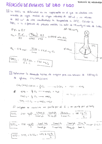 relacion-DBO-DQO.pdf