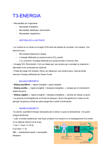 TEMA-3-Energia.pdf