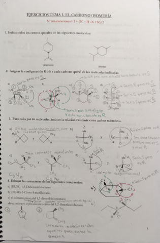  Orgánica Ejs T1.pdf