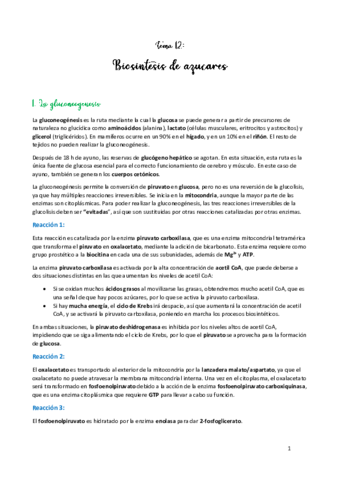 TEMA-12.pdf