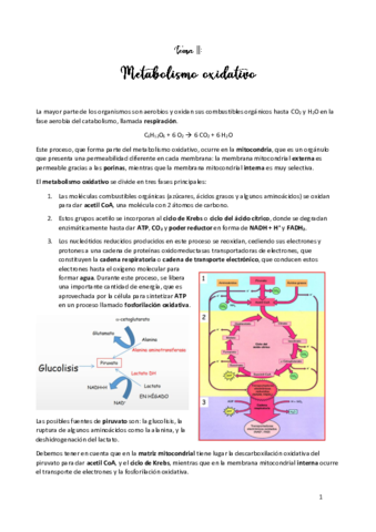 TEMA-11.pdf