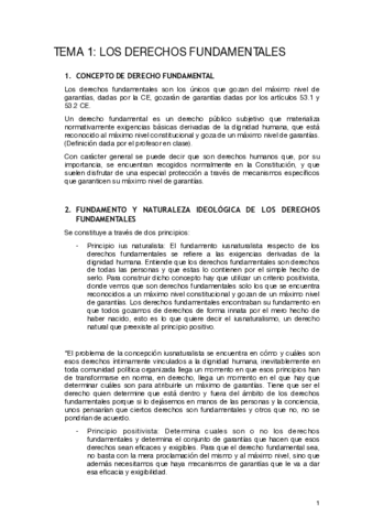 Tema-1-primer-parcial.pdf