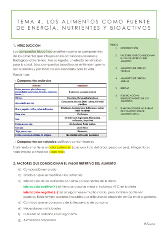 TEMA-4.pdf