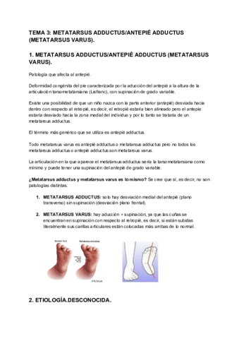 TEMA-3-METATARSUS-ADDUCTUSANTEPIE-ADDUCTUS-METATARSUS-VARUS.pdf