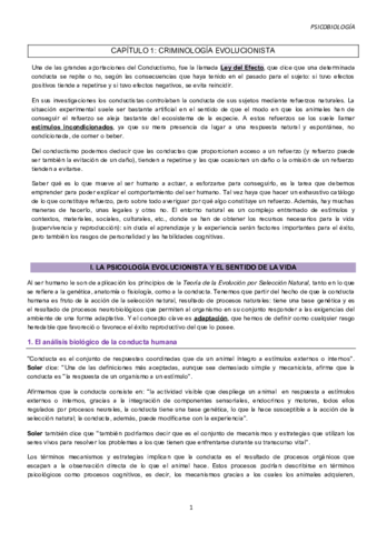 CAPITULO-1.pdf