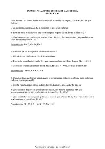 Examen Problemas.pdf