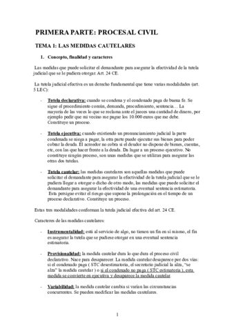 Miniatura del documento TEMARIO-Procesal-II.pdf