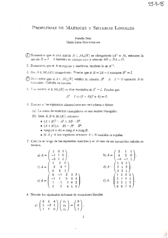 Problemas-de-matrices-y-sistemas-lineales.pdf
