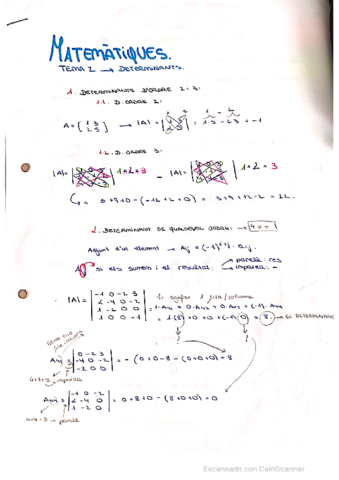 DETERMINANTS.pdf
