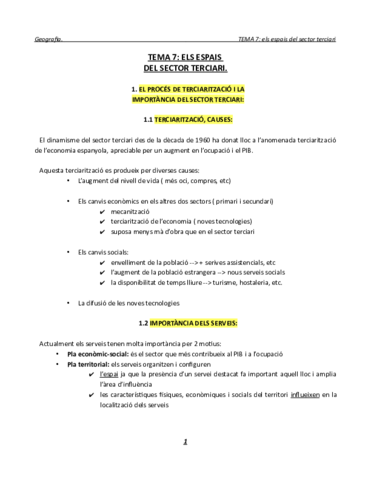 ELS-ESPAIS-DEL-SECTOR-TERCIARI.pdf