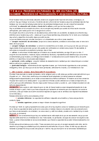 tema-6.pdf