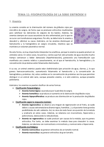 TEMA-11-Patologia-General.pdf