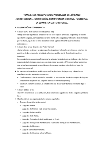 TEMA1L1.pdf