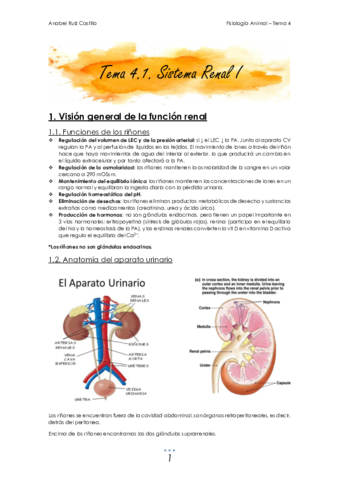 T4 Renal.pdf