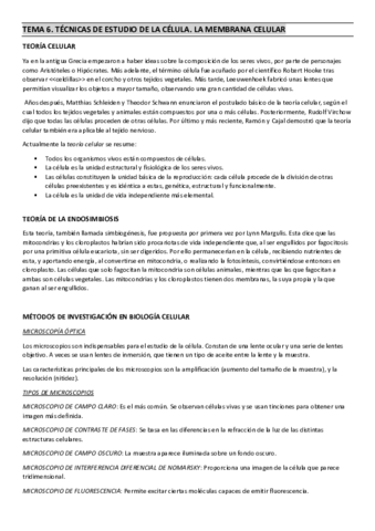 TEMA-6.pdf
