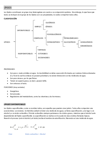 TEMA-3-biologia.pdf