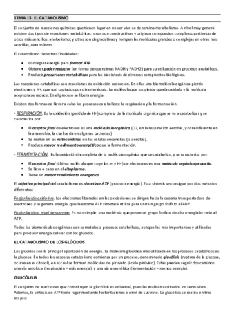 TEMA-13.pdf