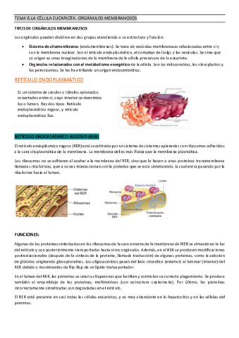 TEMA-8-biologia.pdf