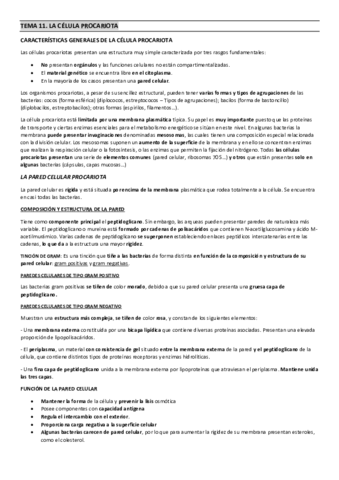 TEMA-11.pdf
