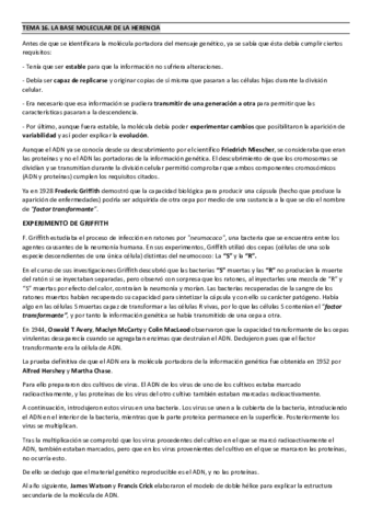 TEMA-16.pdf