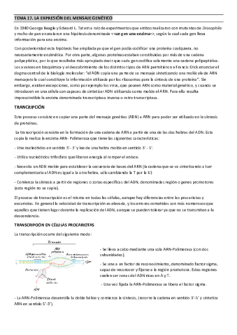 TEMA-17.pdf