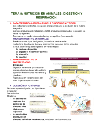 TEMA-8-NUTRICION-EN-ANIMALES-DIGESTION-Y-RESPIRACION.pdf