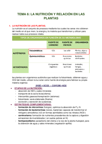 TEMA-6-LA-NUTRICION-Y-RELACION-EN-LAS-PLANTAS.pdf
