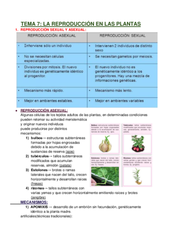 TEMA-7-LA-REPRODUCCION-EN-LAS-PLANTAS.pdf